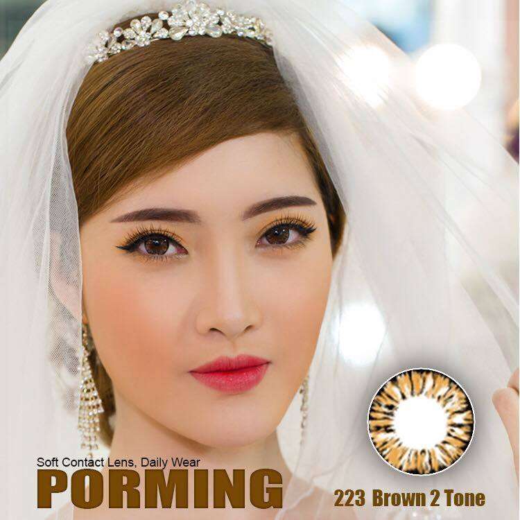 Kính áp tròng WM223 BROWN