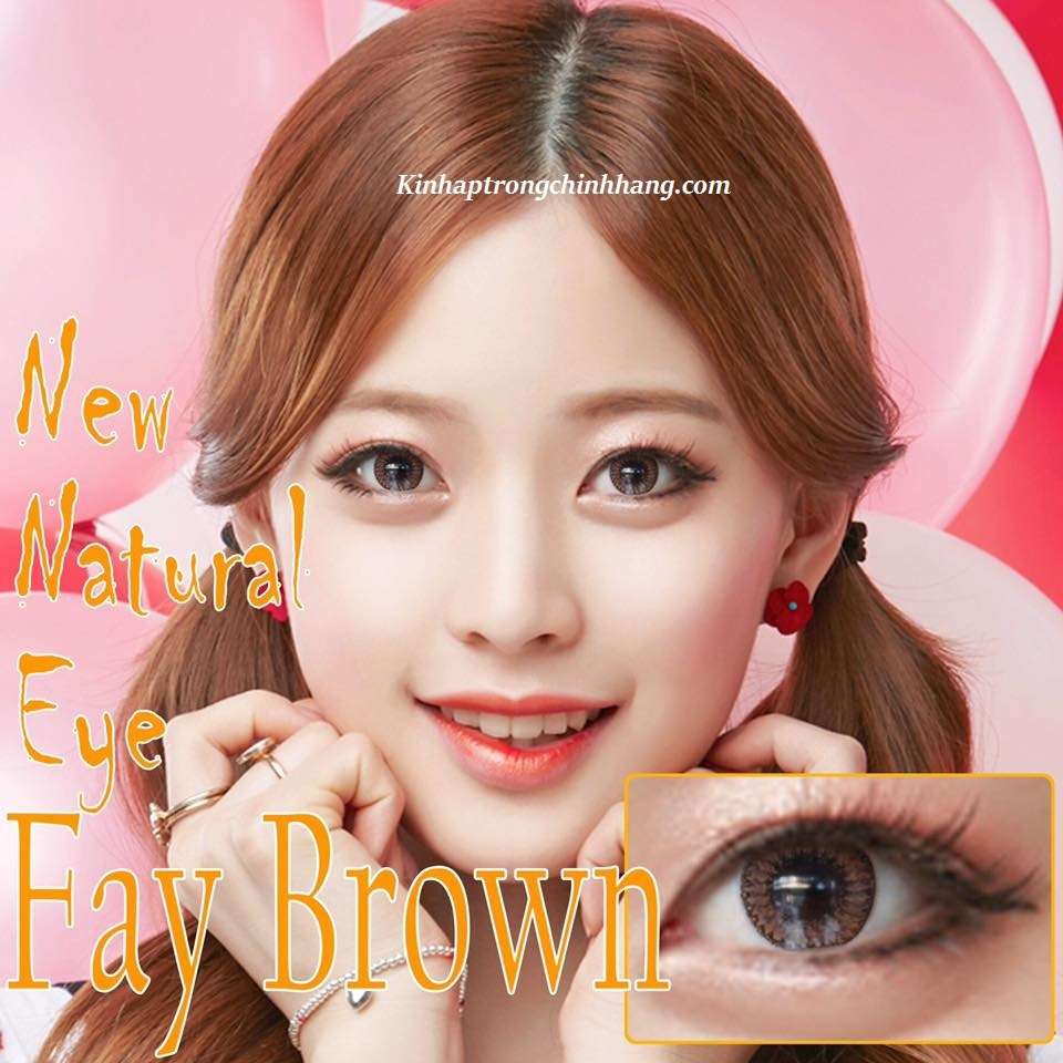 Kính áp tròng Fay Brown