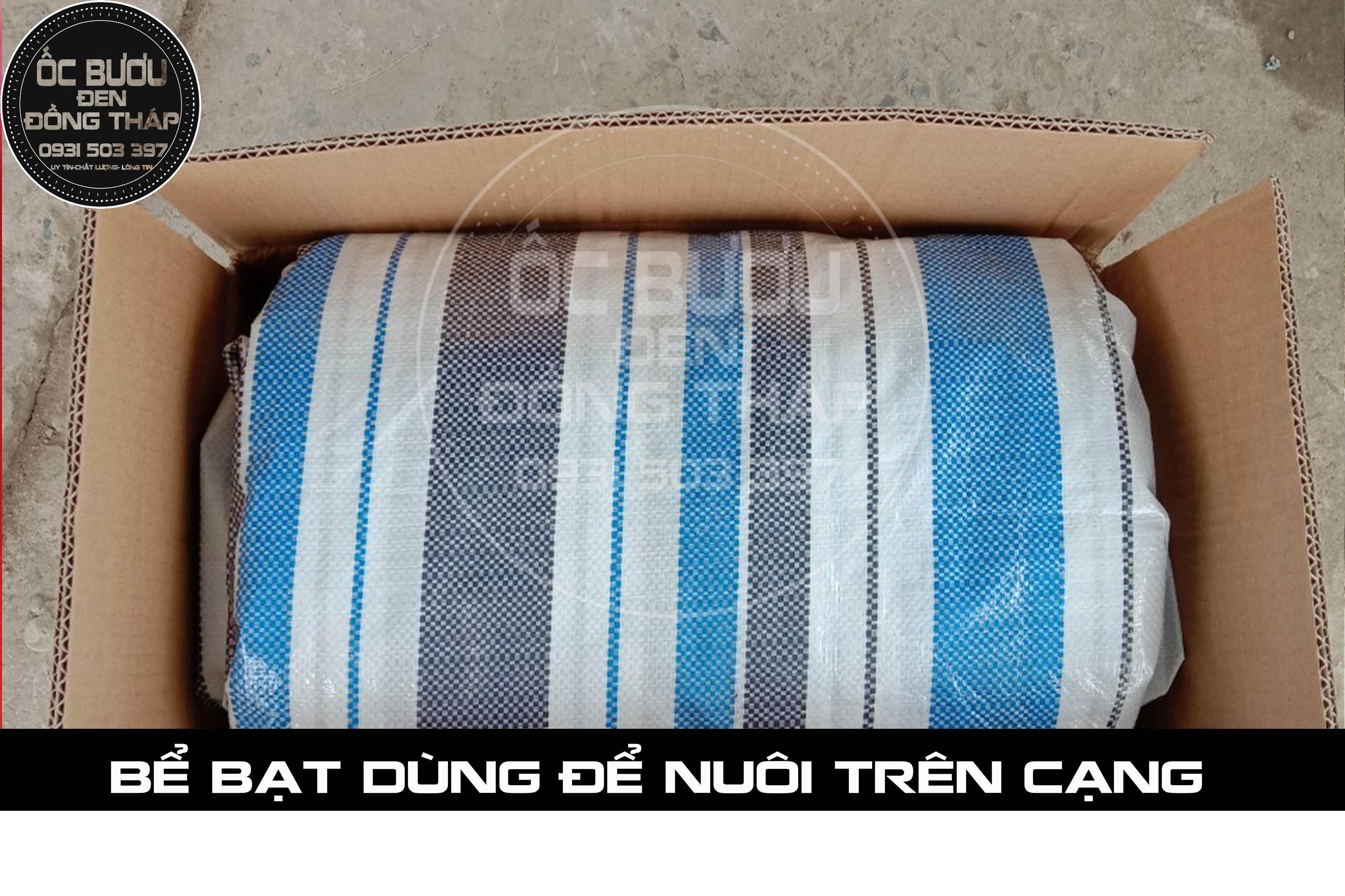 BỀ BẠT 2m x 3m x 0.5m ( Dài x Ngang x Cao)