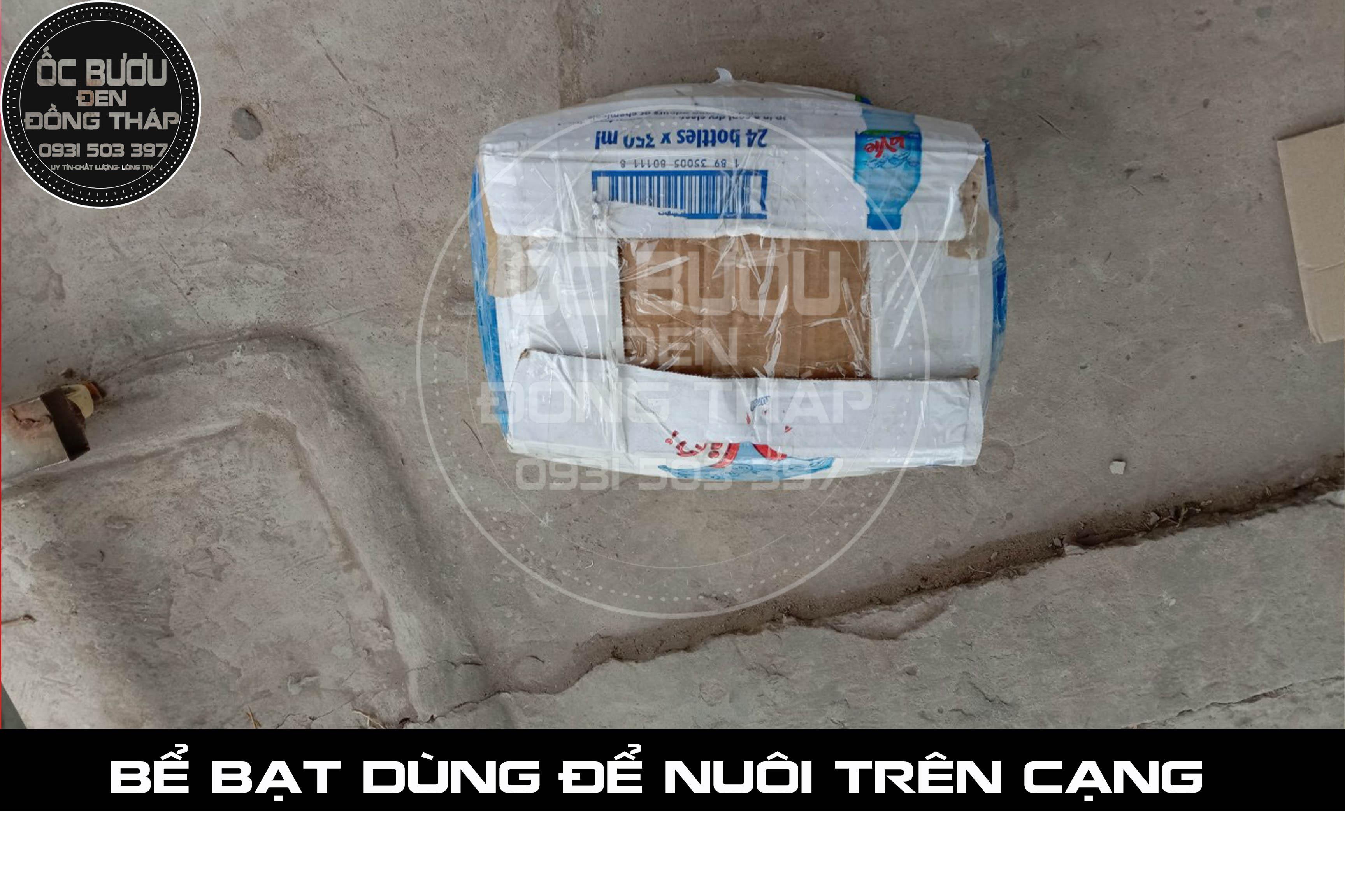 BỀ BẠT 4m x 6m x 1m ( Dài x Ngang x Cao)