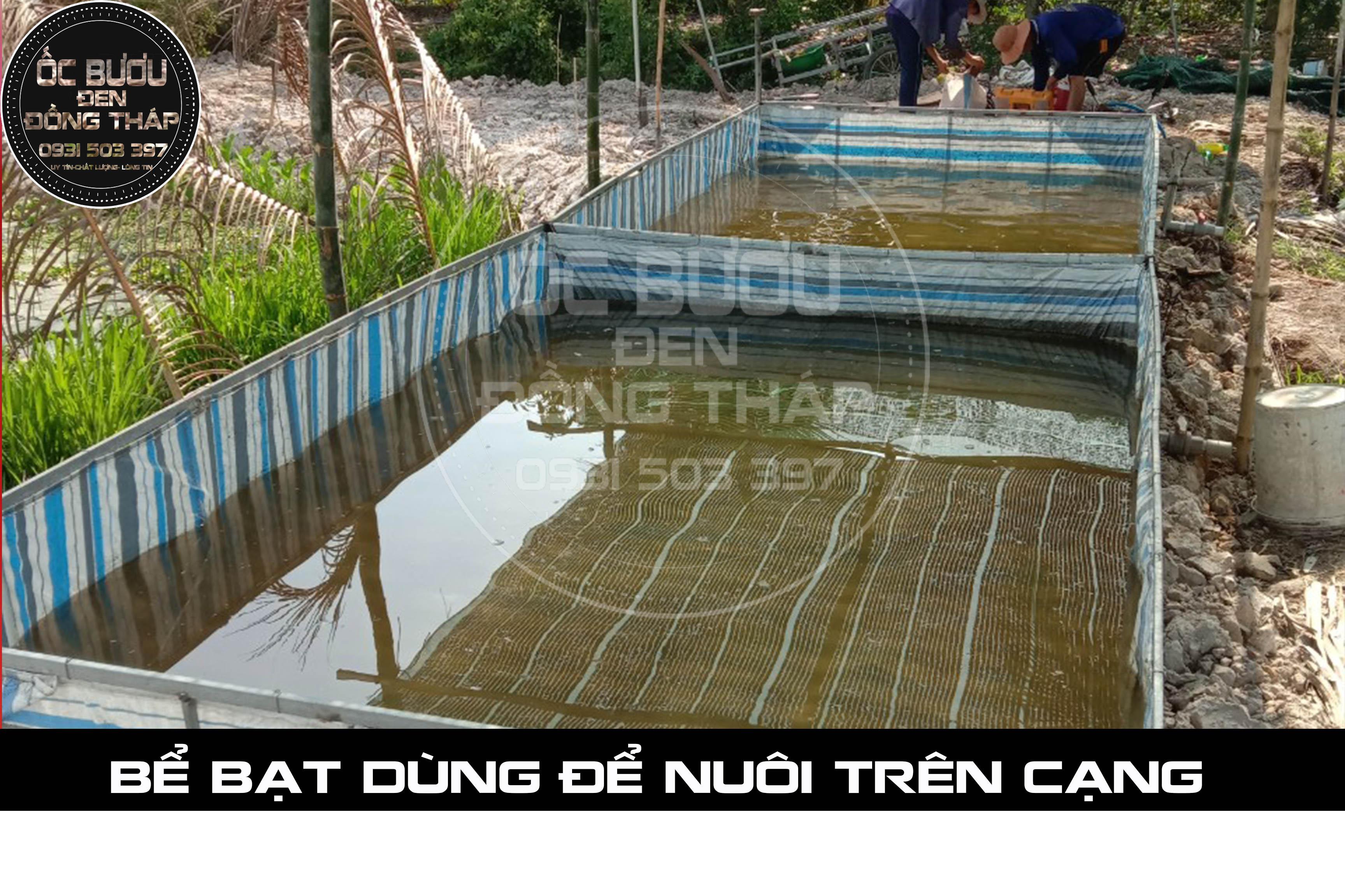 BỀ BẠT 2m x 3m x 0.5m ( Dài x Ngang x Cao)
