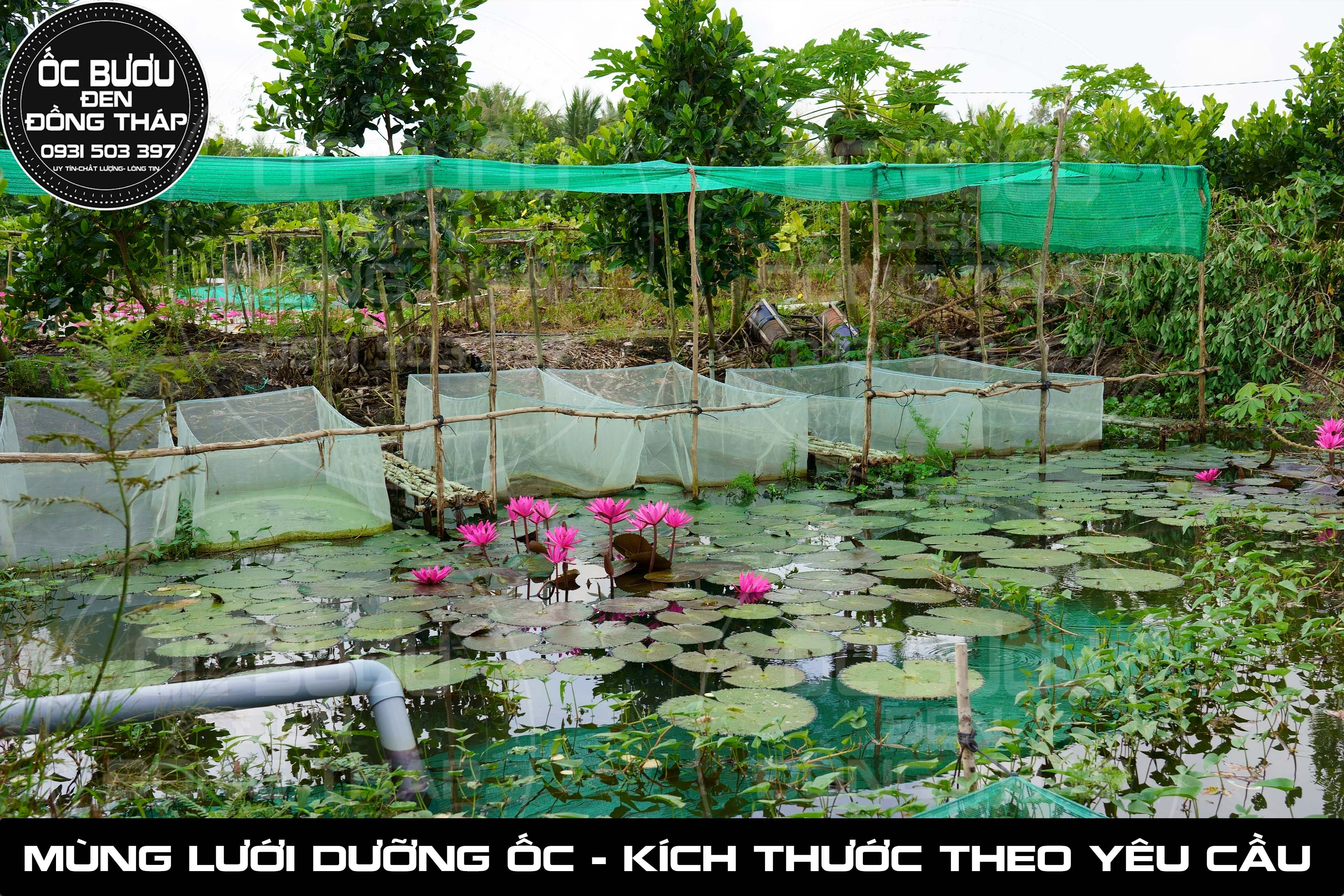 Mùng Lưới - Tráng Lưới - Vèo Lưới dưỡng Ốc Giống & Ốc Thương Phẩm - 2m x 1m x 1m ( Kích Thước Theo Yêu Cầu )