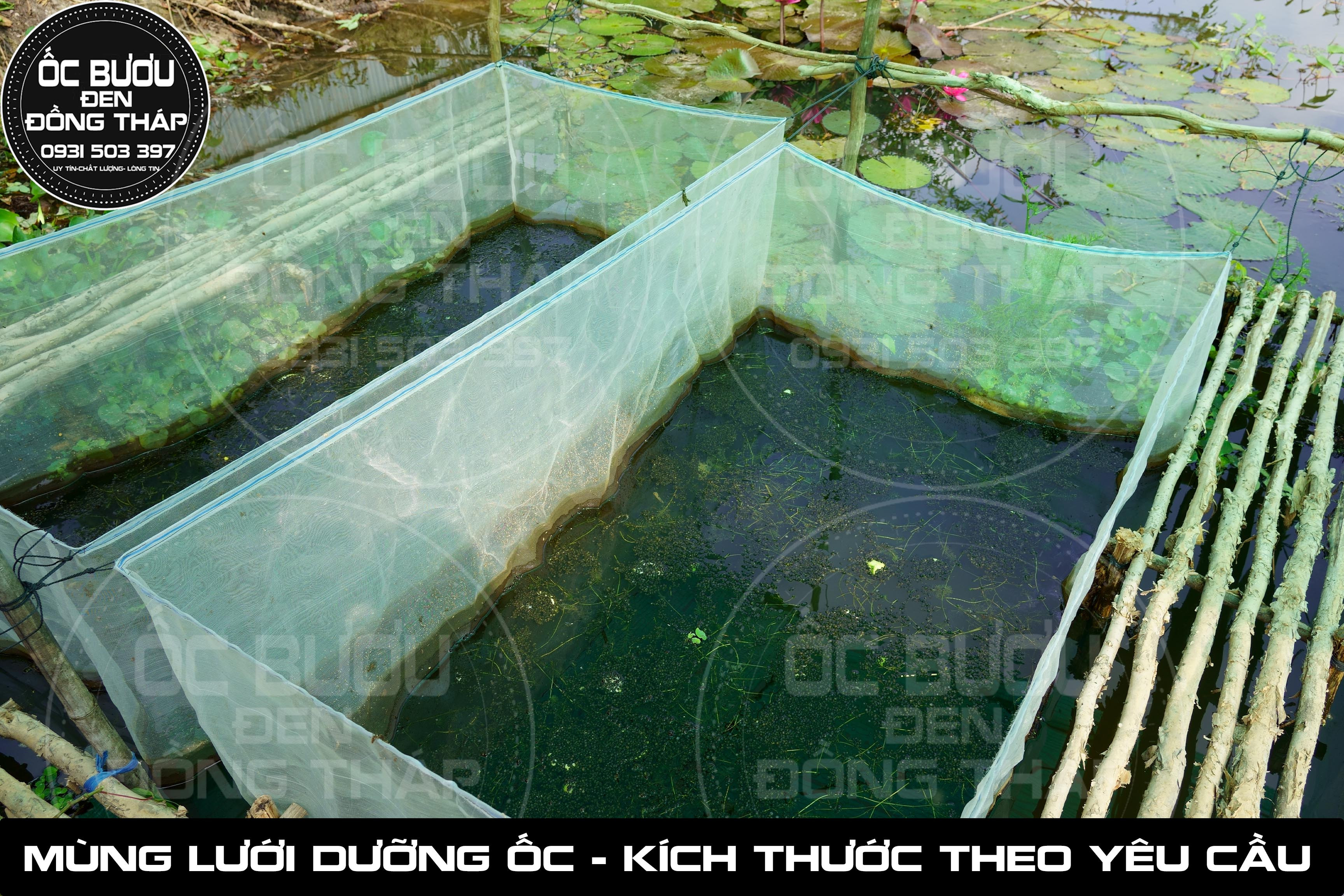 Mùng Lưới - Tráng Lưới - Vèo Lưới dưỡng Ốc Giống & Ốc Thương Phẩm - 2m x 1m x 1m ( Kích Thước Theo Yêu Cầu )