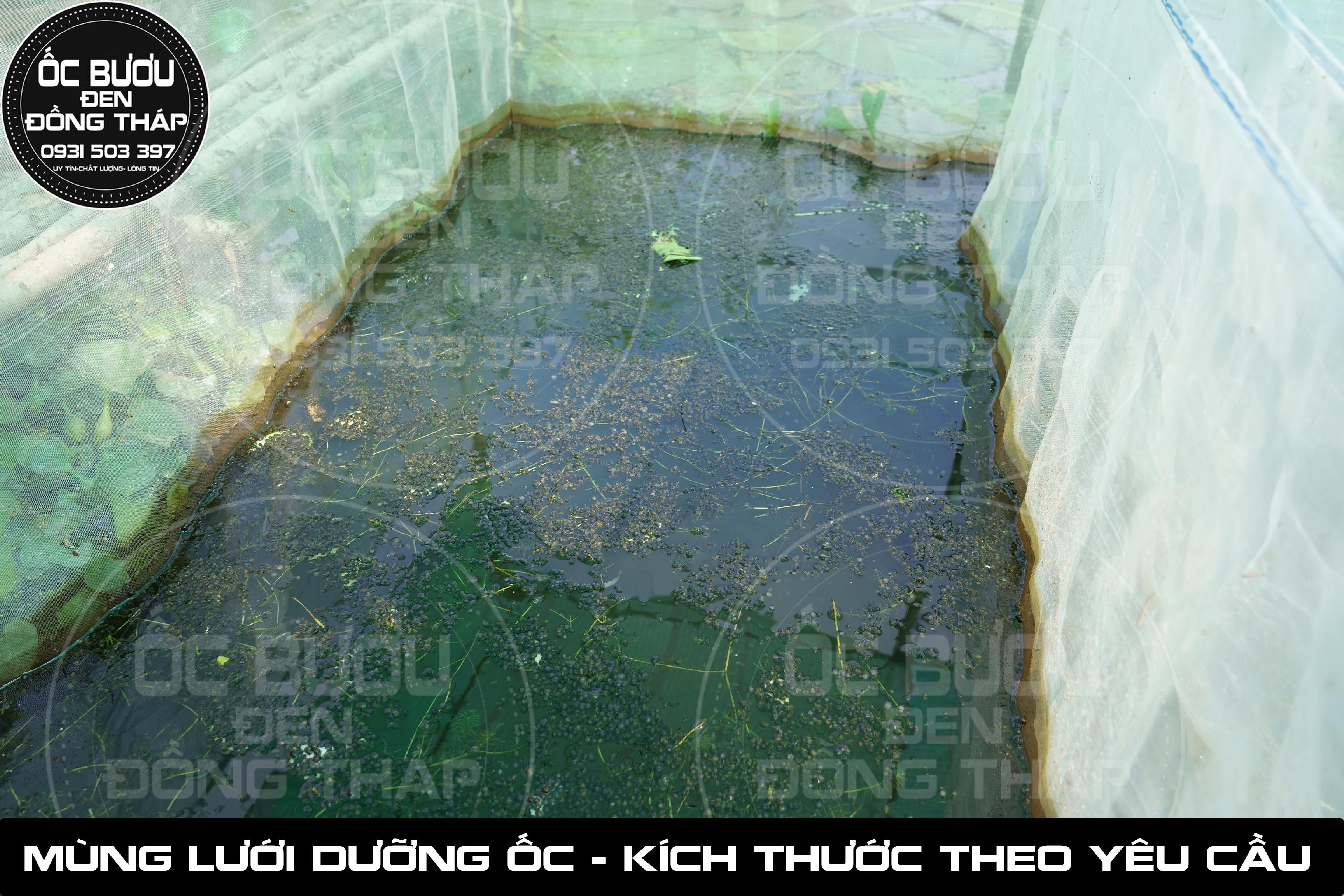 Mùng Lưới - Tráng Lưới - Vèo Lưới dưỡng Ốc Giống & Ốc Thương Phẩm - 2m x 1m x 1m ( Kích Thước Theo Yêu Cầu )