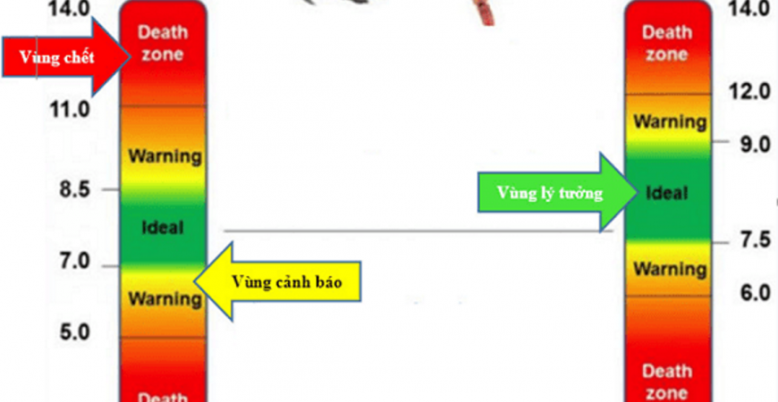 ĐỘ PH LÀ GÌ? CÔNG THỨC ĐỘ PH NHƯ THẾ NÀO VÀ PH DÙNG ĐỂ LÀM GÌ?