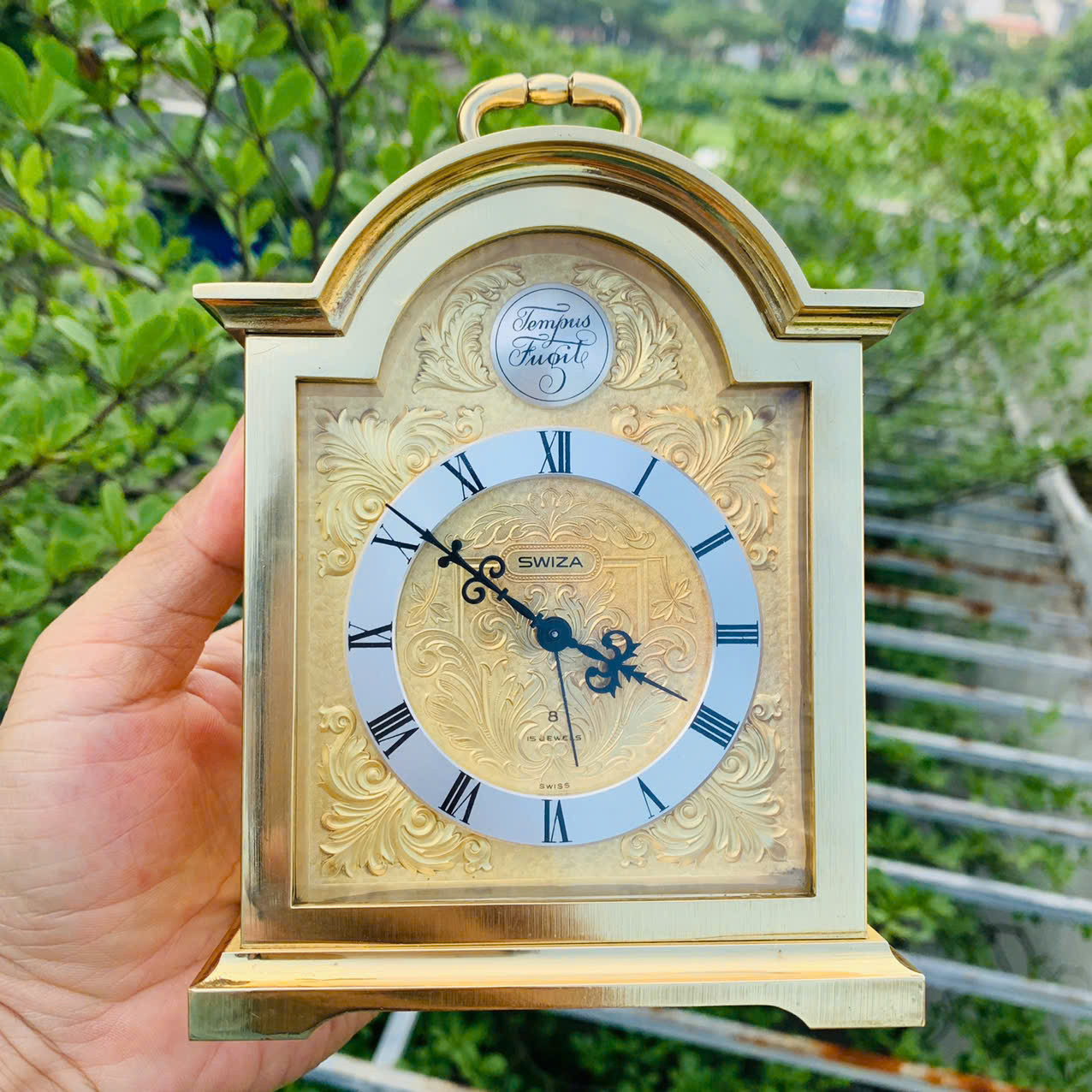 Đồng hồ báo thức Swiza cót tuần size đại