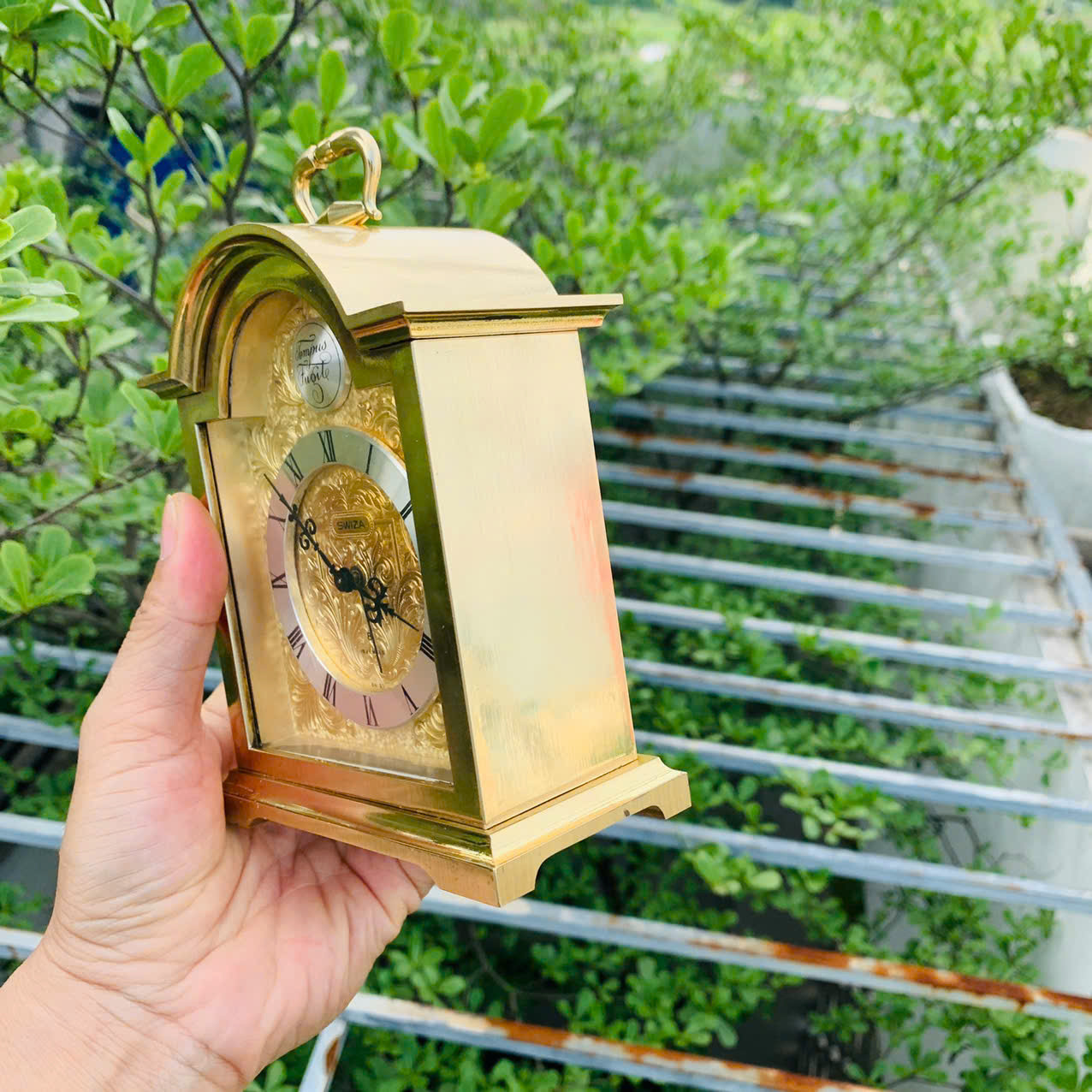 Đồng hồ báo thức Swiza cót tuần size đại