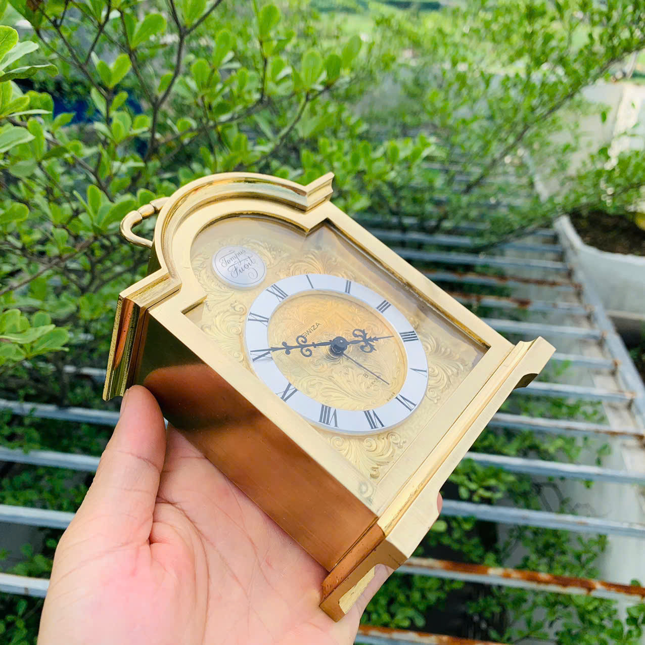 Đồng hồ báo thức Swiza cót tuần size đại