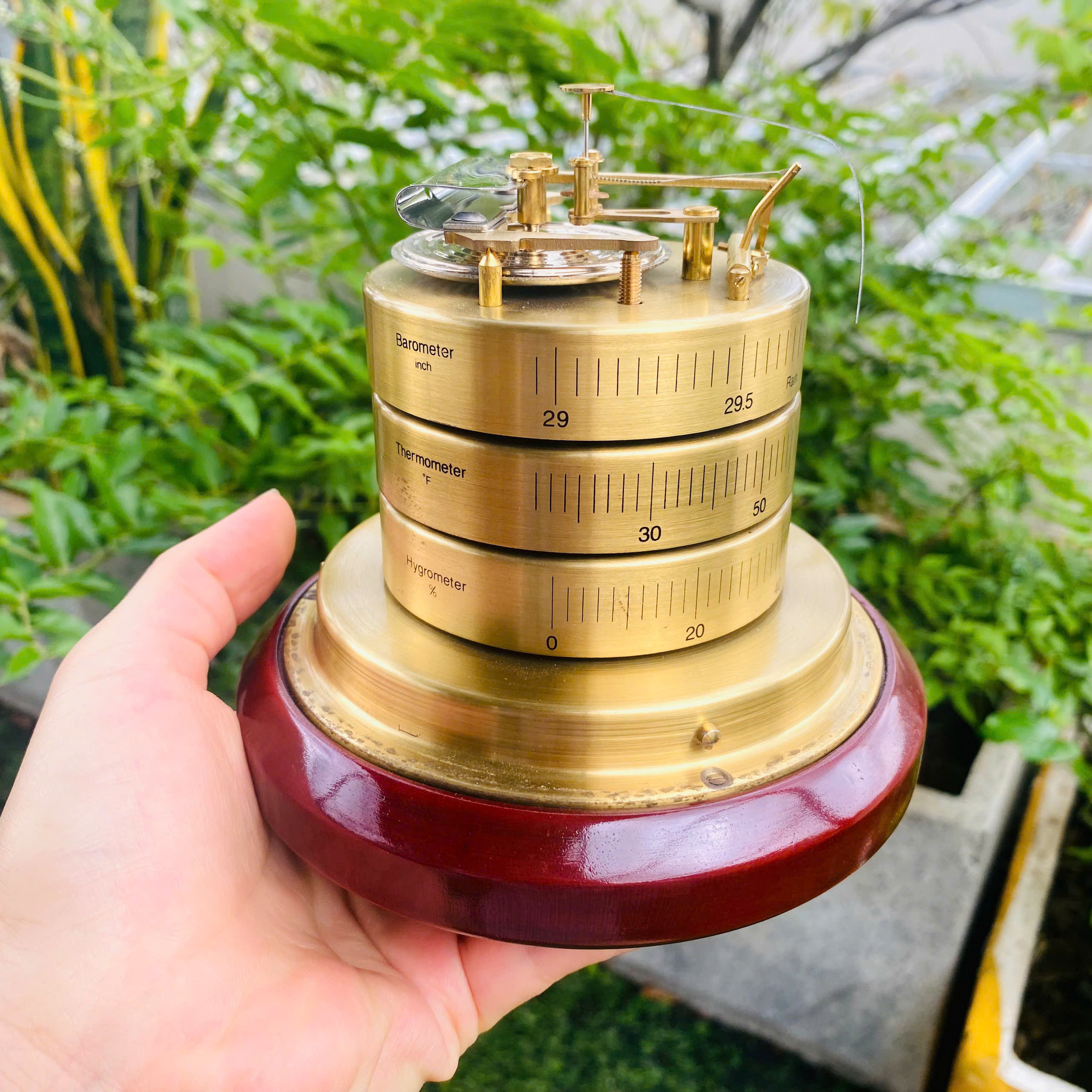 Barometer dự báo thời tiết của Đức