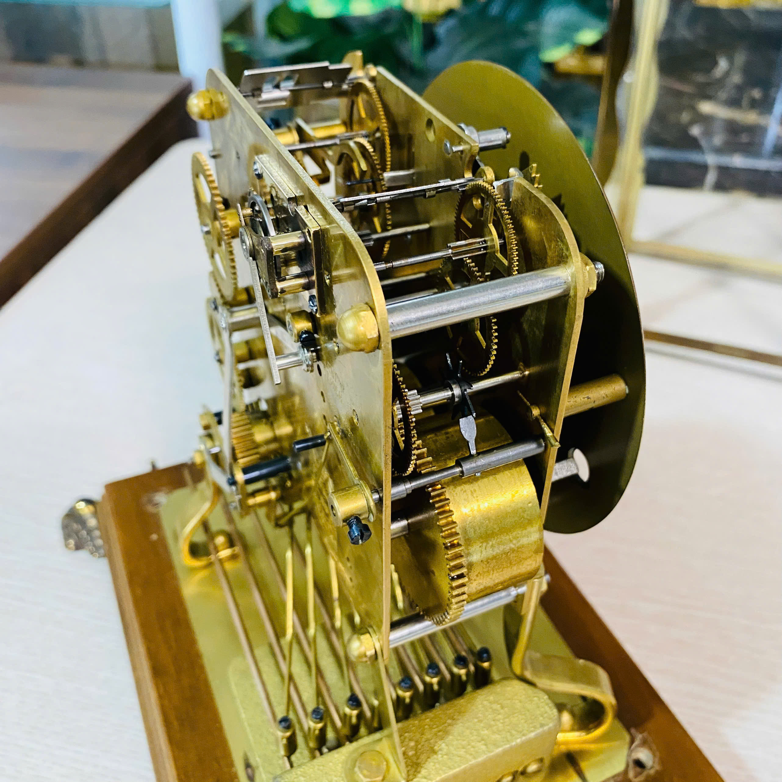 Đồng hồ để bàn Schatz 8 gông 8 búa vỏ gỗ vintage