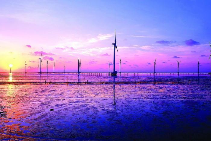 WIND FANS - NEW TOURIST PLACE OF BAC LIEU