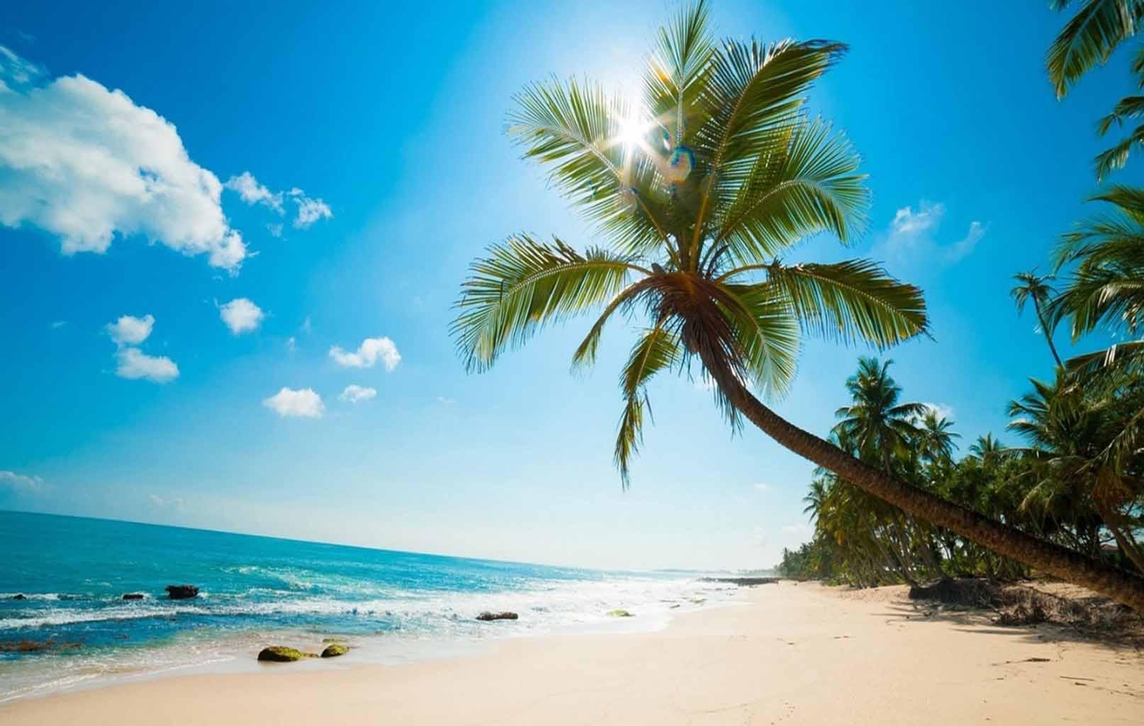Stimulating tourism in Phu Quoc - A boost for tourism "Pearl Island"