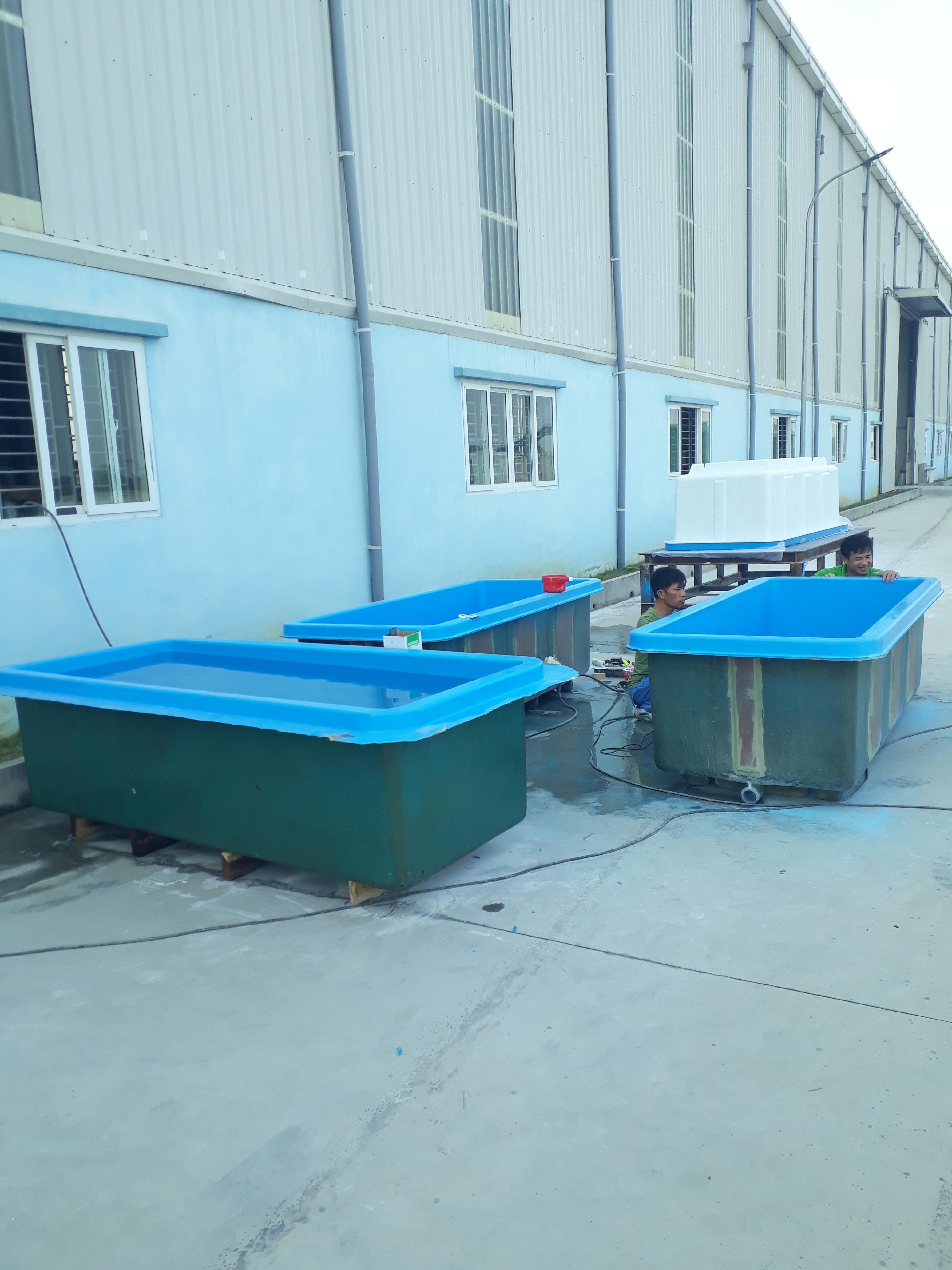 Project about fish tank  for Japan