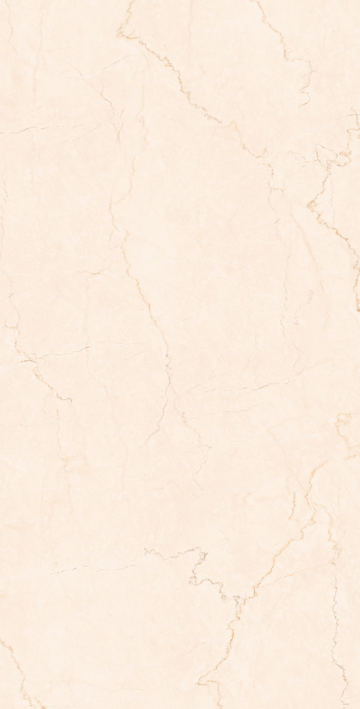 Gạch 600*1200 (2402)