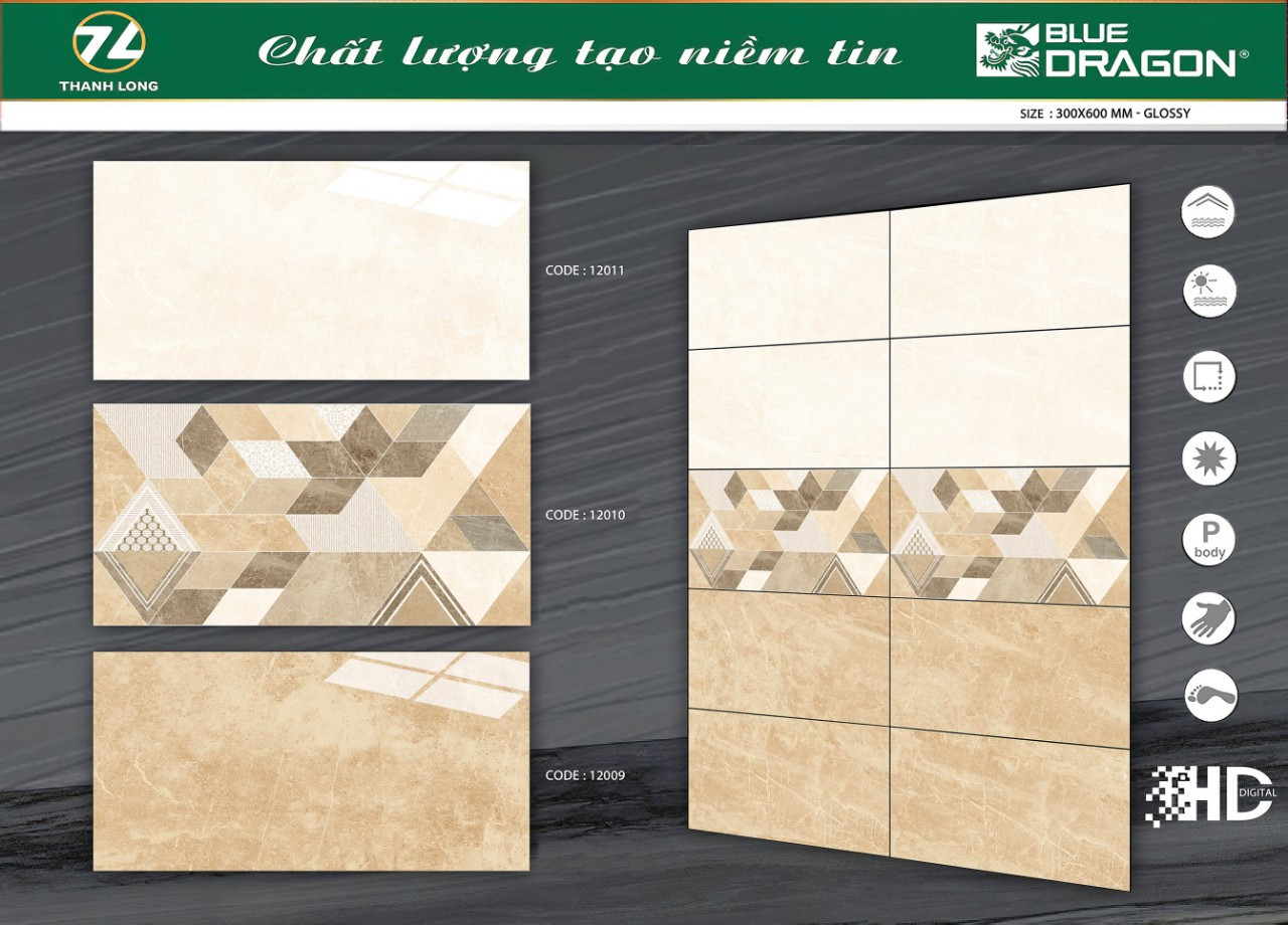 Gạch Ốp 300*600