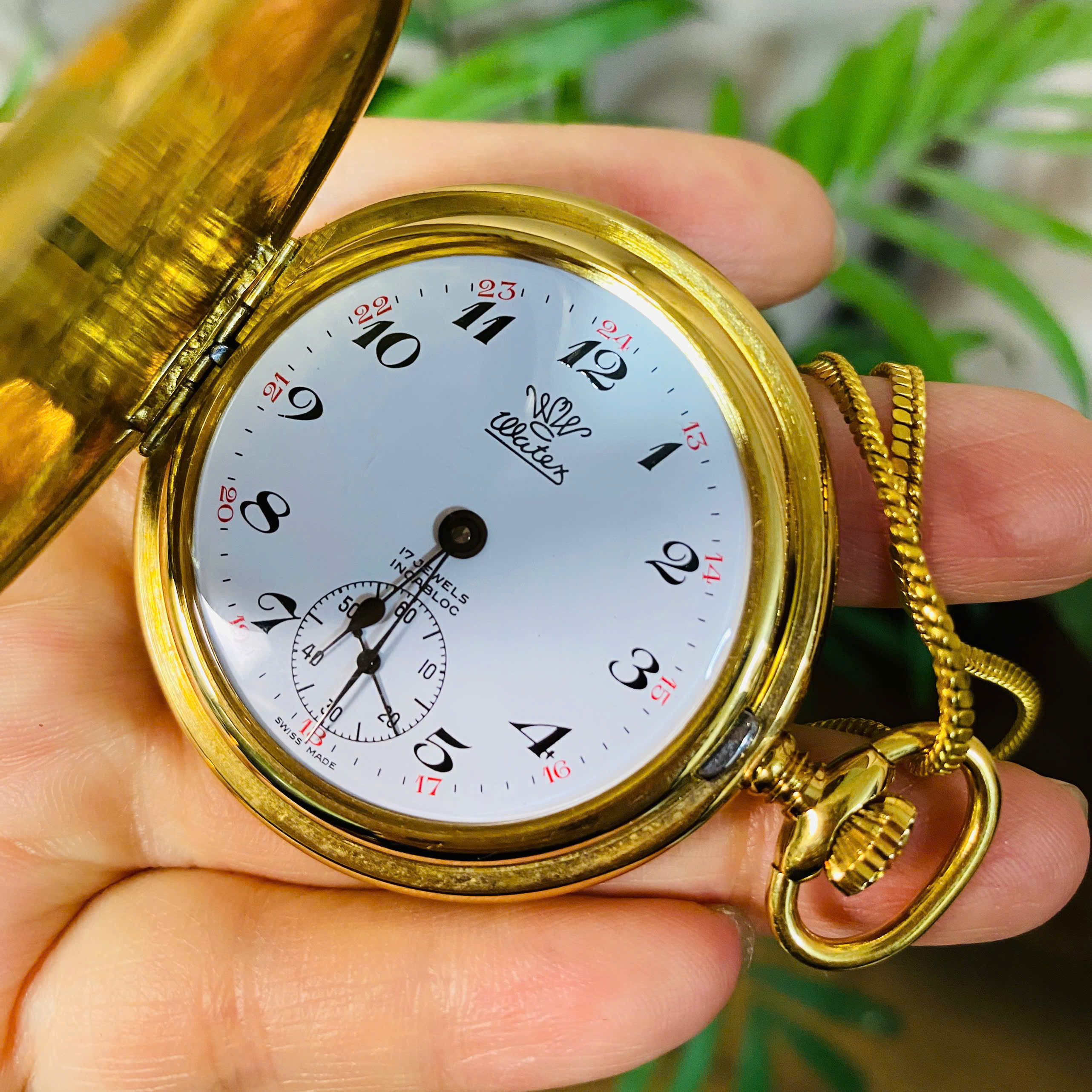 Đồng hồ quýt Watex Thụy Sĩ cót dài
