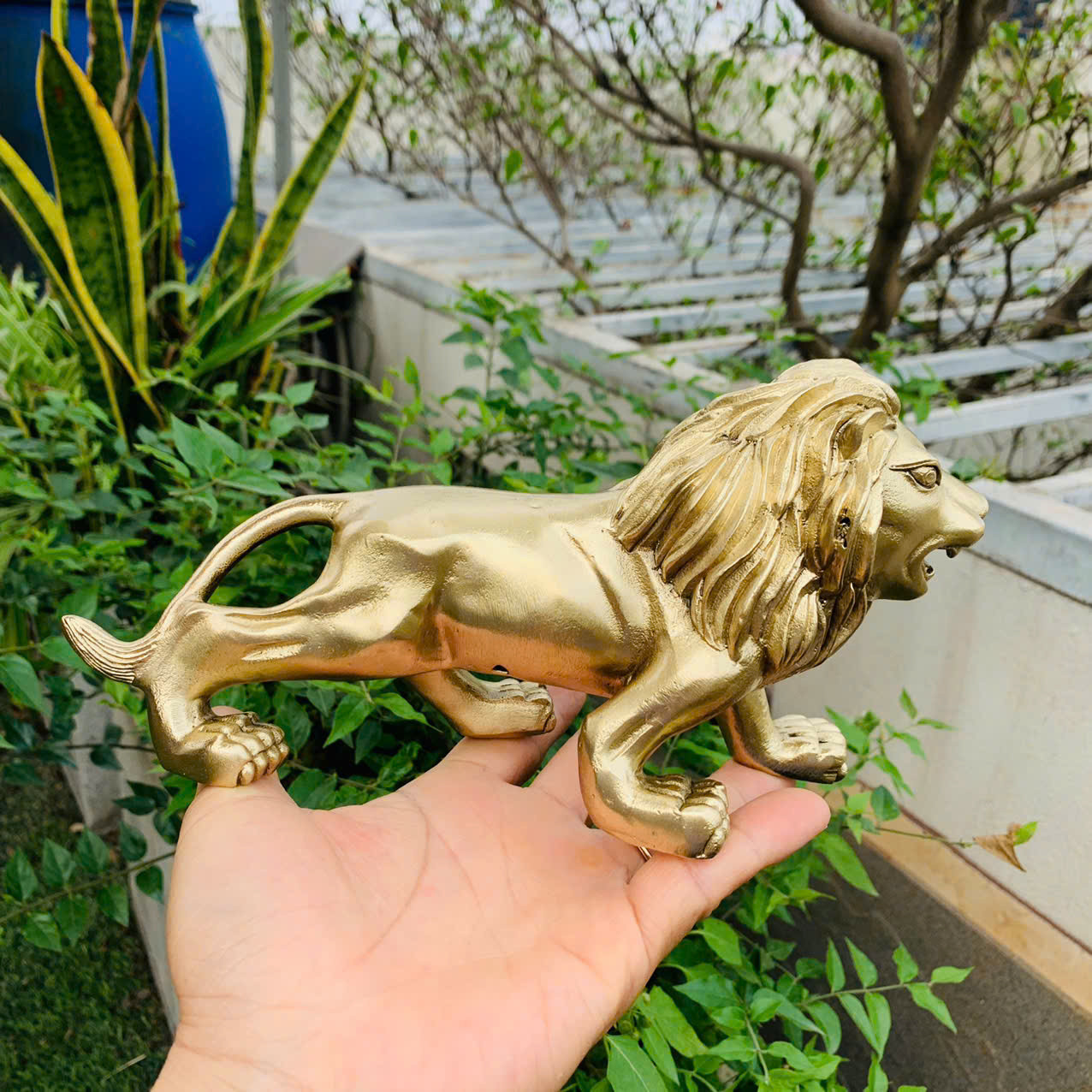 Tượng đồng sư tử nguyên khối Châu Âu