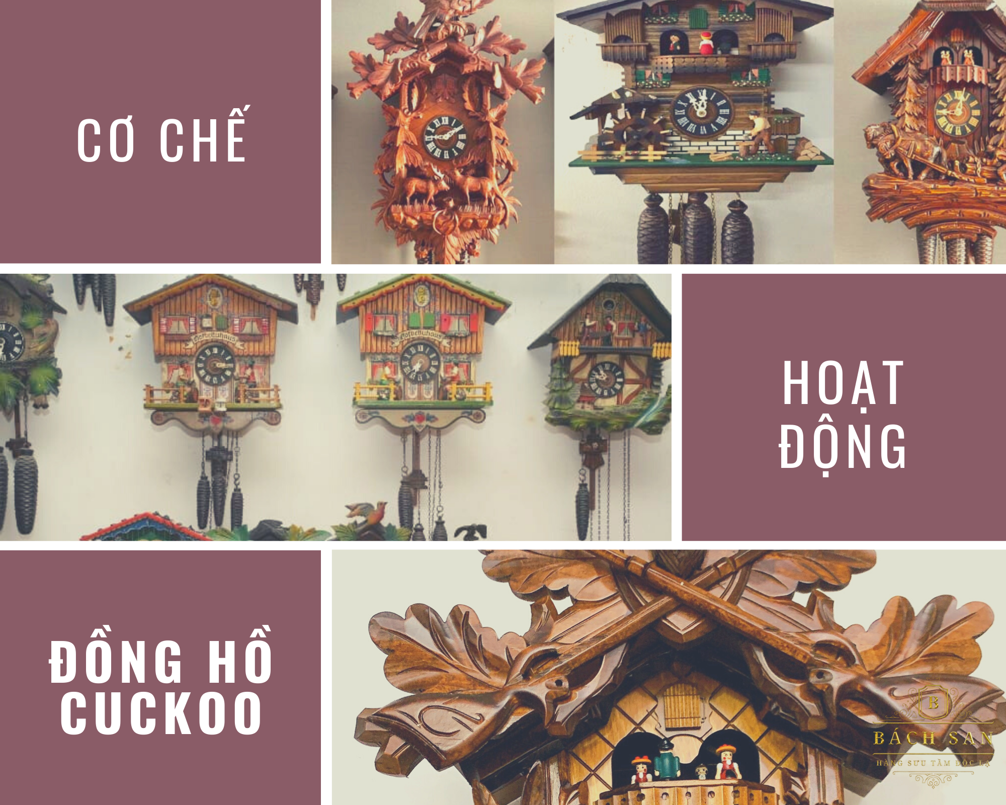 Cơ chế hoạt động của đồng hồ Cuckoo